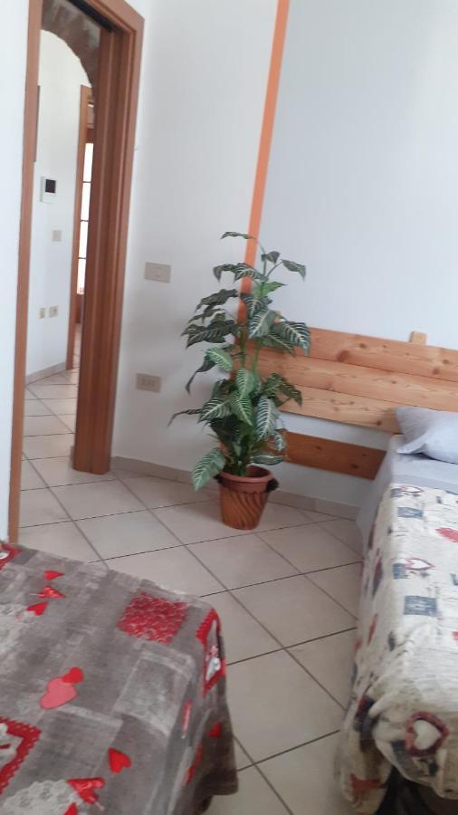 B&B Las Vegan 斯尔斯 外观 照片